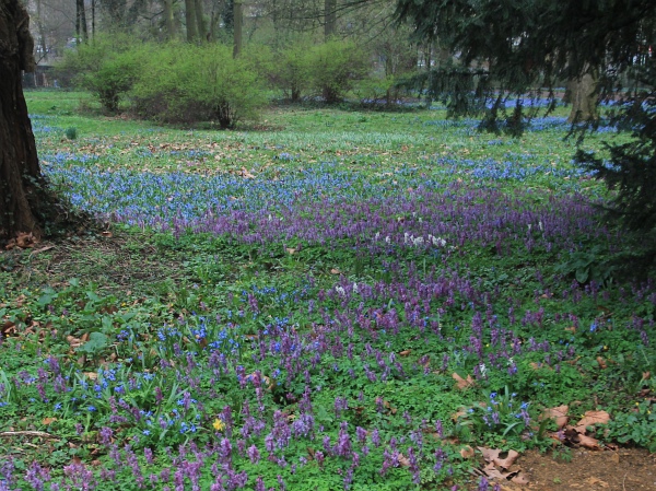 Fruehling   105.jpg